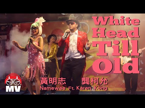 白頭偕老 封面圖