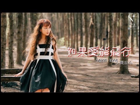 如果愛能飛行 封面圖